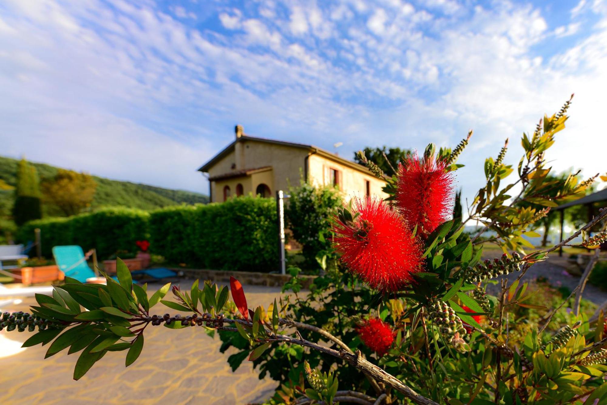 Agriturismo Le Casaline Seggiano Екстериор снимка