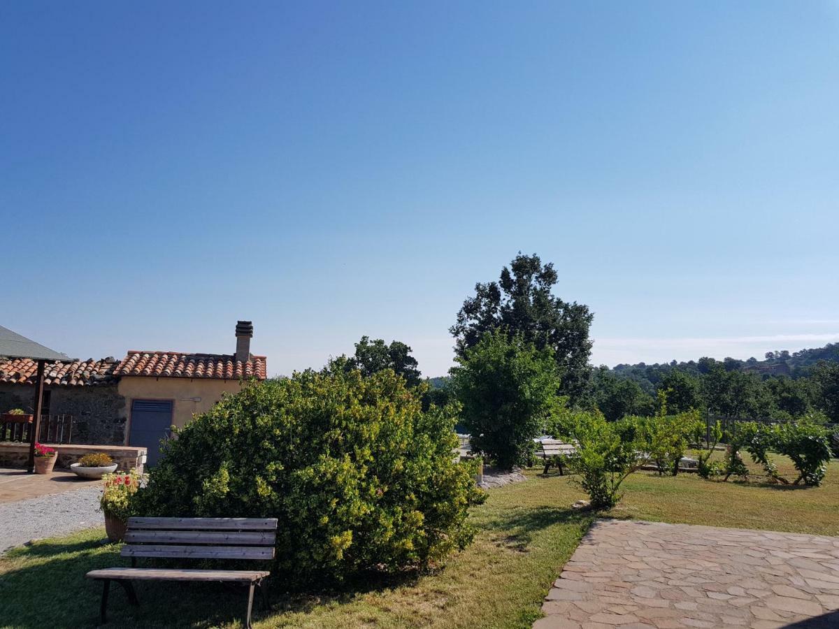 Agriturismo Le Casaline Seggiano Екстериор снимка