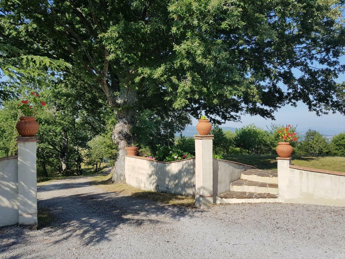 Agriturismo Le Casaline Seggiano Екстериор снимка