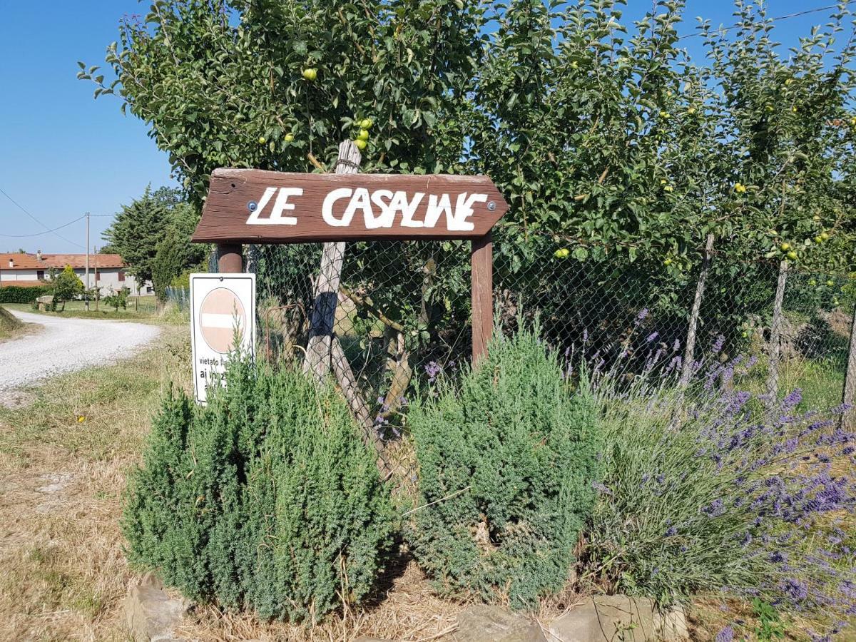 Agriturismo Le Casaline Seggiano Екстериор снимка